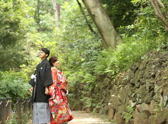 色打掛背中合わせ